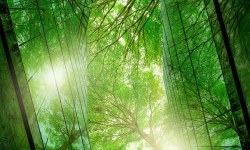 Schneider Electric finalises its EcoAct buyout