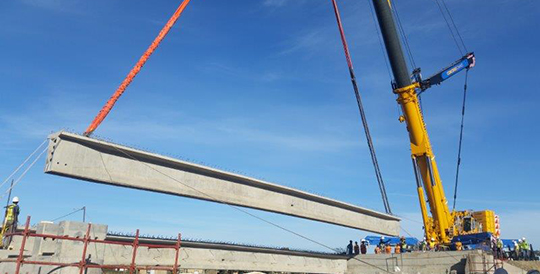 Concord Cranes to diversify into new markets