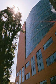 Iconic agrivaal building