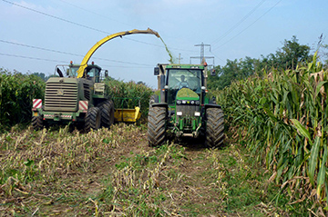 Tyres designed for haymaking