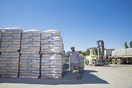 Lesotho gets local cement plant
