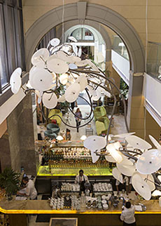 EntrancetoTashas