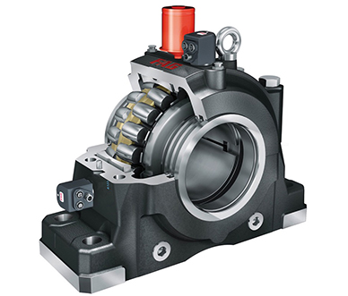 BI FAG Plummer block housing