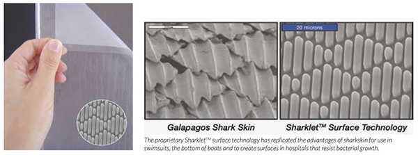 SAIChE Biomimicry Yuma Langenbach
