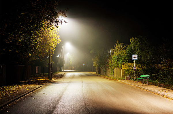 Study Light pollution disrupts seasonal rhythms of plants