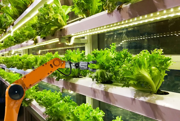 Indoor farming an alternative in agriculture
