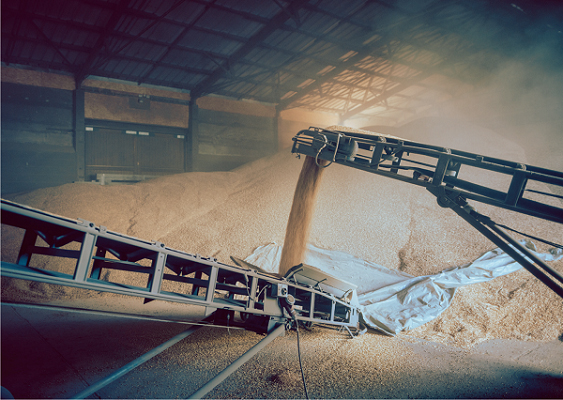 ifms speed monitoring solutions ensure precision safety and efficiency in conveyor belt operations copy