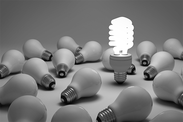 South Africas lightbulb re and evolution