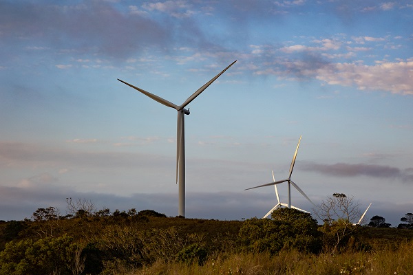Wind energy industry celebrates new bid window for renewable procurement a step towards overcoming loadshedding