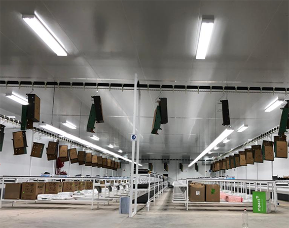 Lighting Pros A leader in South African lighting
