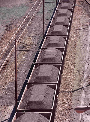 Dutch Disease and what to do about it in South Africa