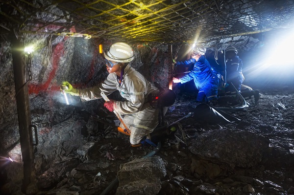 WMI targets Critical Minerals Catalogue completion by December 2025