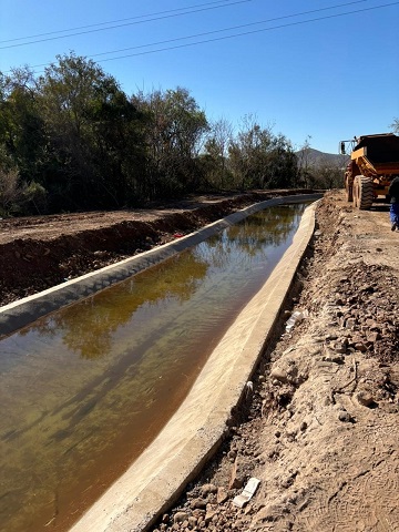 Eco friendly solutions to protect structures susceptible to soil erosion