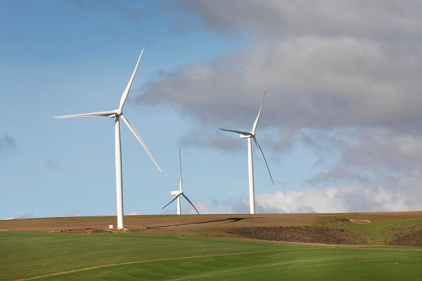 Treasury welcomes AfDB loan Wind turbines Western Cape