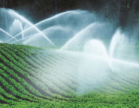 KSB brings full OEM muscle to Nampo