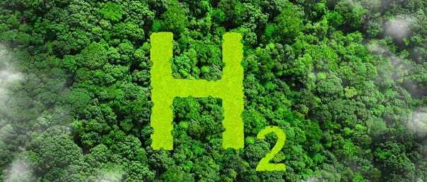 Call for proposals for new green hydrogen funding programme1