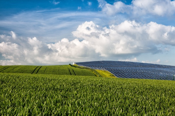 World Bank expects SA growth Agri photovoltaics