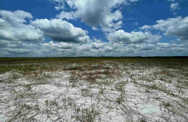 EarthDay2026 Environmental closure risk are key aspects of mining due diligence