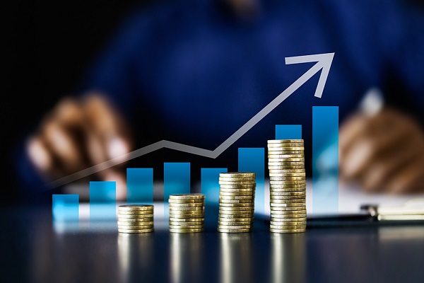 Navigating Business and Financial Management in an Evolving South African Economy