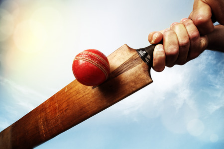 Cricket batsman