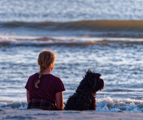 Friendship with humans has changed dogs more than we knew