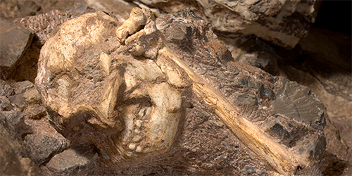Little Foot