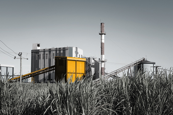 Bohler Cover story Sugar and Ethanol