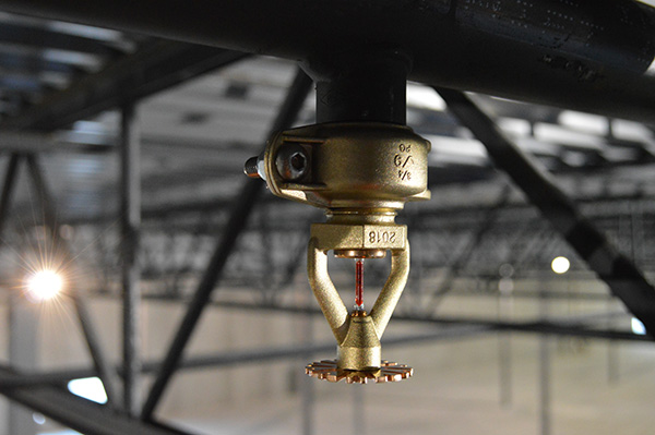 Vitaulic redesigned grooved fire sprinkler