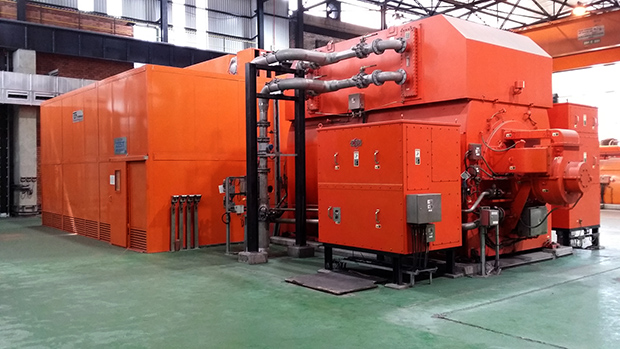 Zest Weg steam cogeneration Leandro Magro 