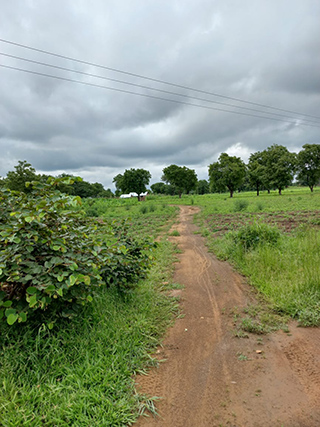 Solutions to challenges encountered in road construction