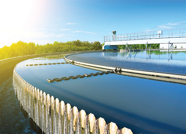 COVID analyses from sewage treatment plants
