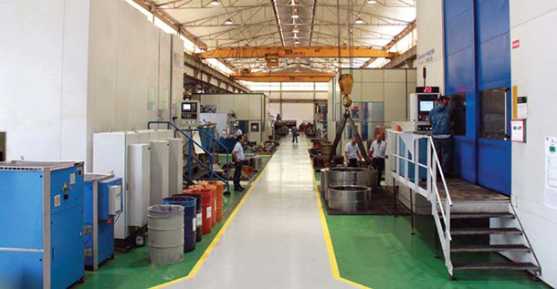 Zest WEG in Zimbabwe ethanol expansion