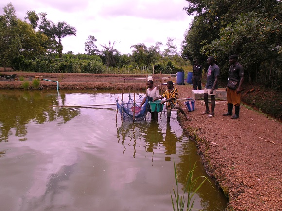 DRCs first Cahier de Charge approved