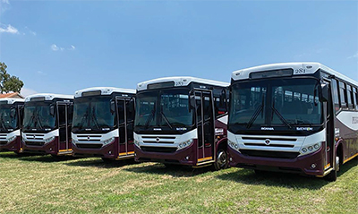 Buses are back