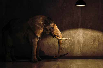 The Elephant in the Industrial Control Room