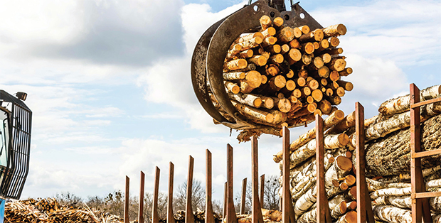 AES Biomass optimisation in the timber sector