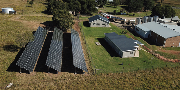 Sustainable solar solutions for dairy farming