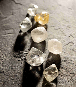 Commodities Outlook for 2024 Gold Platinum Diamonds and Coal